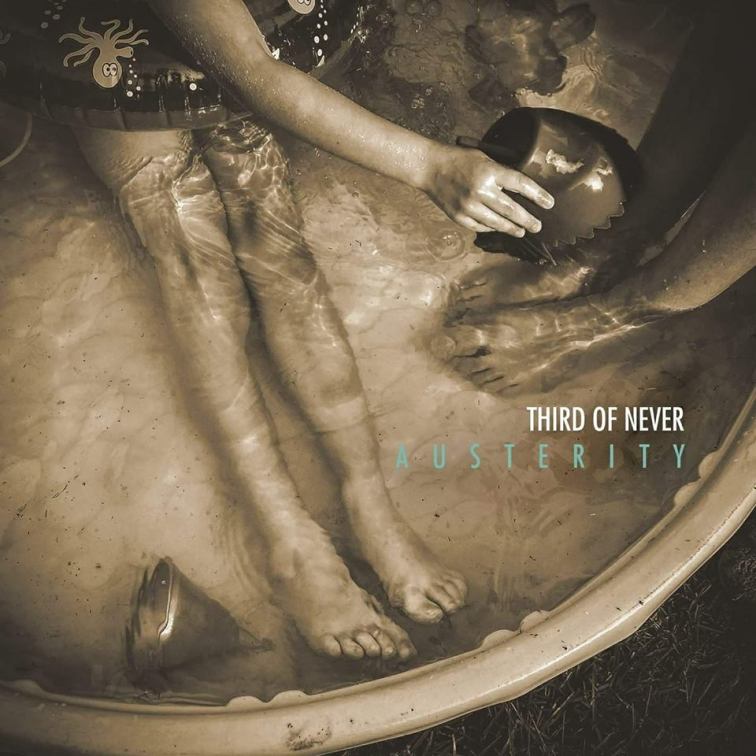 austerity album cover